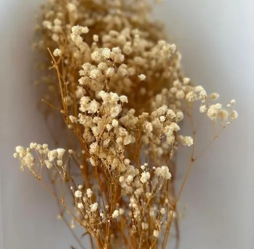 Neuf - Neuf Proche Plages - Clim, Wifi アパート アンティーブ